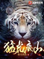 猛虎出山下一句
