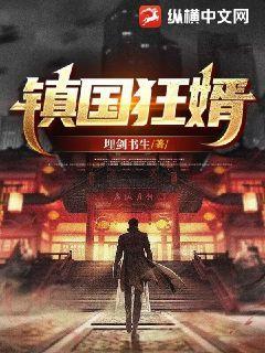 镇国狂婿苏夜