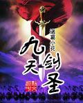 九天剑主的境界
