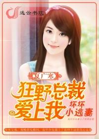狂野总裁爱上我坏坏小逃妻