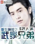 重生神雕之武家兄弟全本精校txt