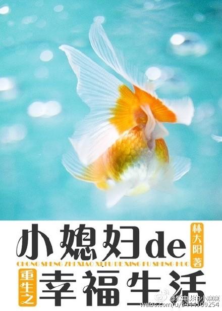 重生之小媳妇在线阅读