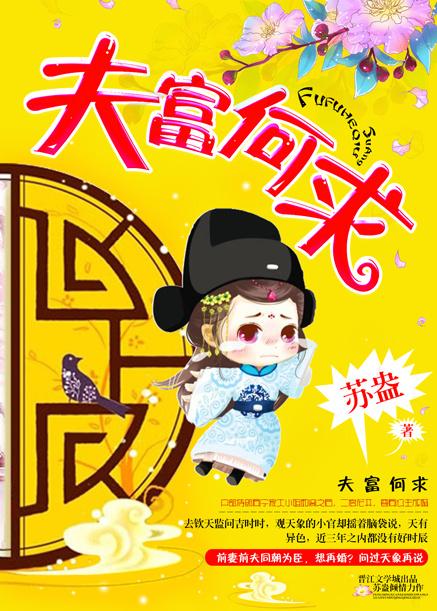 夫富何求苏盎txt