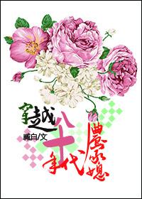 穿越八十年代农家女