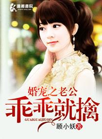 婚宠之老公乖乖就擒讲的什么