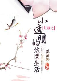 红楼之小透明的悠闲生活全文免费阅读