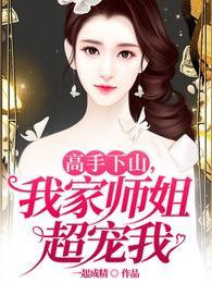 高手下山我家师姐超宠我听书