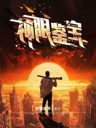 神眼鉴宝.我的复仇之路