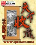 天下收藏2009全集
