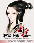 红楼林家小少爷