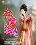 红楼系统 不详不畏