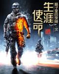 生涯是指