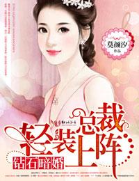 钻石暗婚总裁轻装上阵的