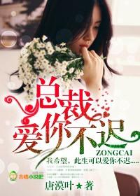 总裁爱你不迟全文免费