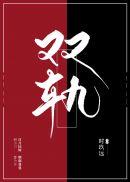 双轨制教师
