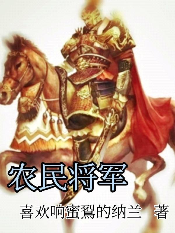 农民将军续集