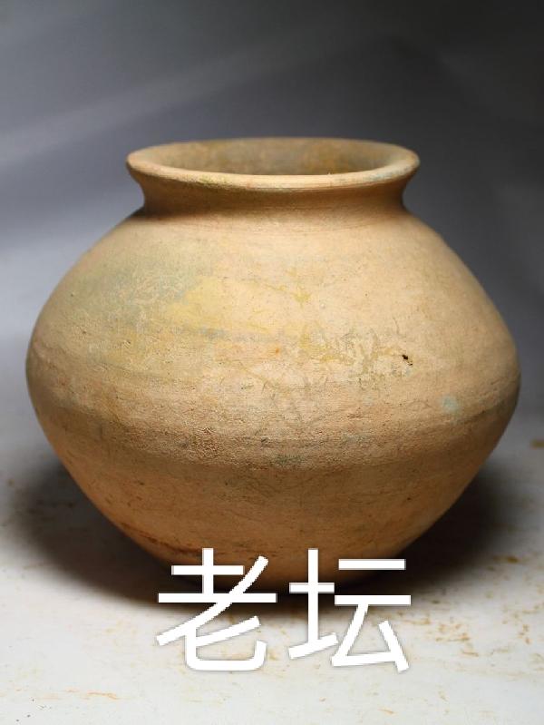 老坛酸菜是什么菜腌制的