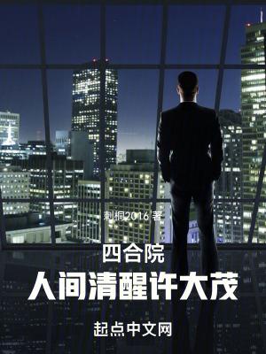 四合院人间清醒许大茂 笔趣阁