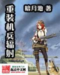重装机兵fmp
