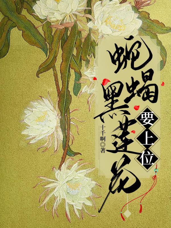 黑莲花的上位(np)全文阅读免费