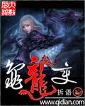 龟龙变免费