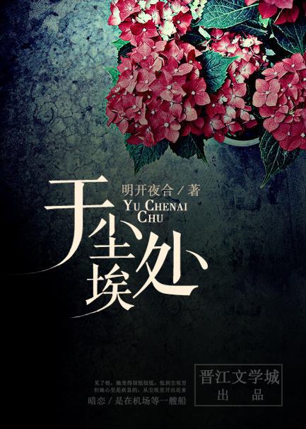 于尘埃处讲了什么