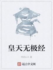 皇极惊天拳