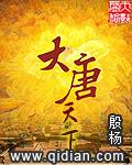 大唐天下公司可靠吗