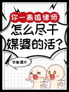 离婚律师 收入