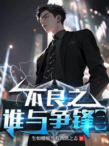 不良之谁与争锋介绍