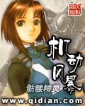 机动风暴听书