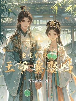 重生归来王妃很嚣张