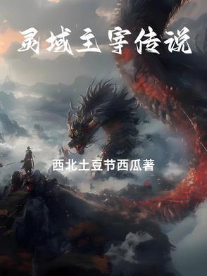 灵域主角经历