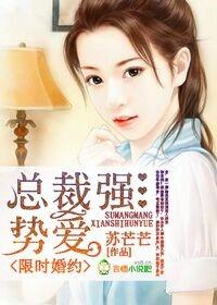 限时婚宠总裁我有了