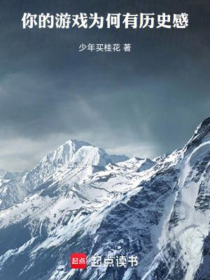 你的游戏为何有历史感无防盗