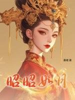 昭如日月综