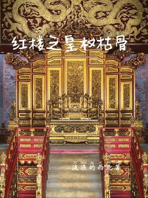 红楼之权倾天下第八区