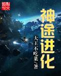 31373神途攻略