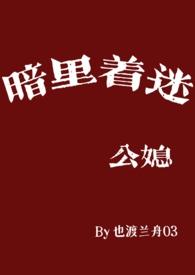 暗里着迷简介