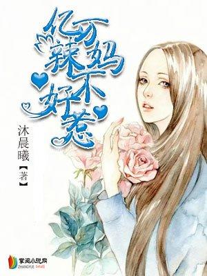 亿万辣妈不好惹别名