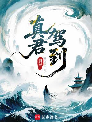 真君驾到TXT