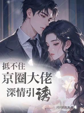 京婚似锦内容