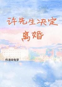 许先生决定离婚by曳萝