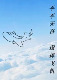 指挥飞机免费阅读