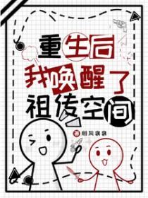重生小包子文