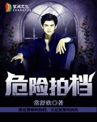 危险拍档TXT笔趣阁
