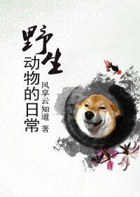 野生动物的生活方式