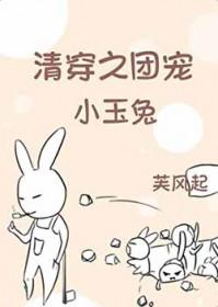 清穿之团宠小玉兔芙风起