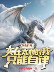 实在太弱的我只能自律全文免费阅读