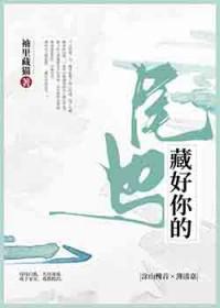 藏好你的尾巴袖里藏猫免费阅读